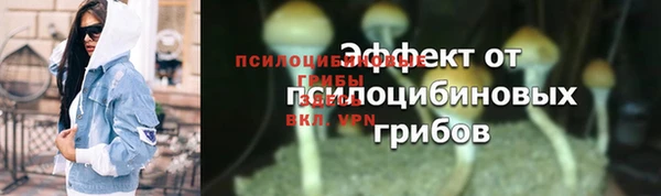 a pvp Арсеньев