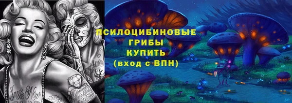 дмт Армянск