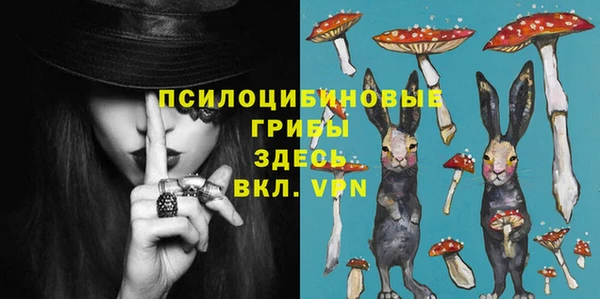 дмт Армянск