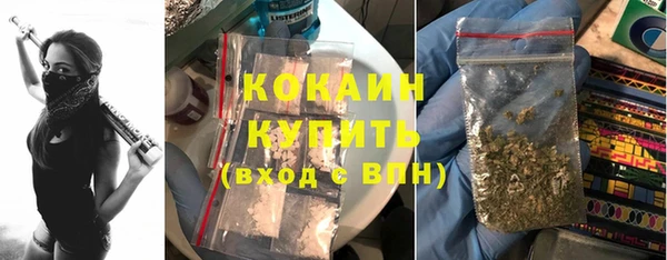 дмт Армянск